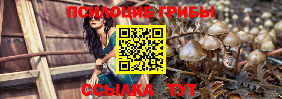 Галлюциногенные грибы ЛСД Дербент